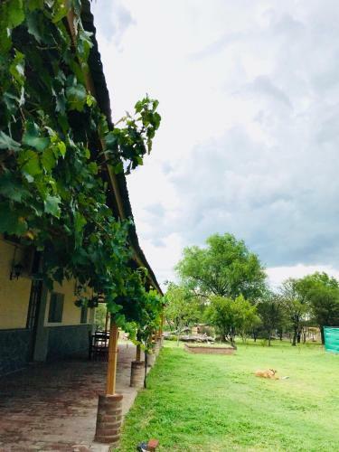 Lodge Caba�as Quinta El Tesoro