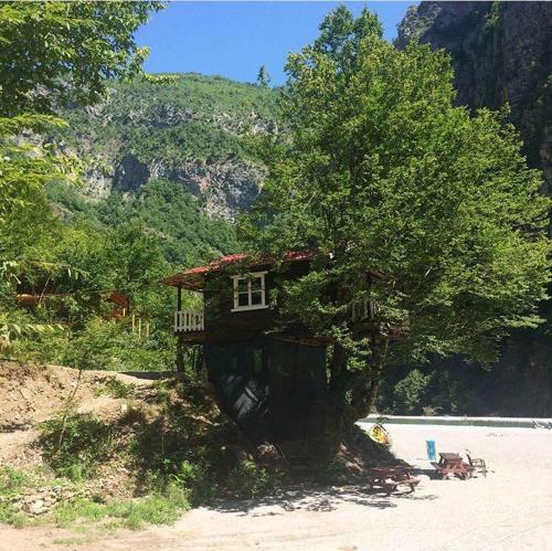 Hostal Blini-park Guesthouse