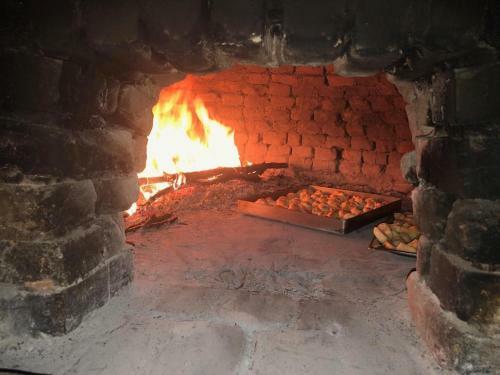 Hostal Blini-park Guesthouse