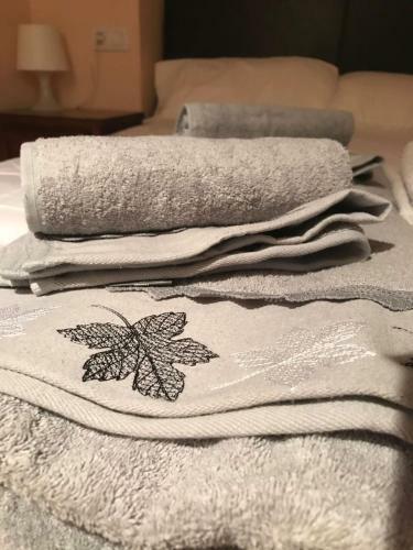 Pleta De Soldeu Apartament