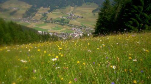 Apartamento Ferienwohnug-spitzenstein