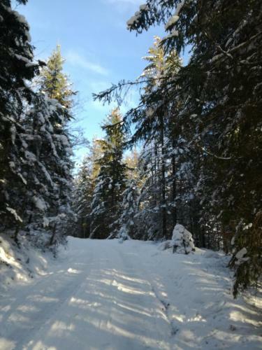Apartamento Appartement Alpengl�ck