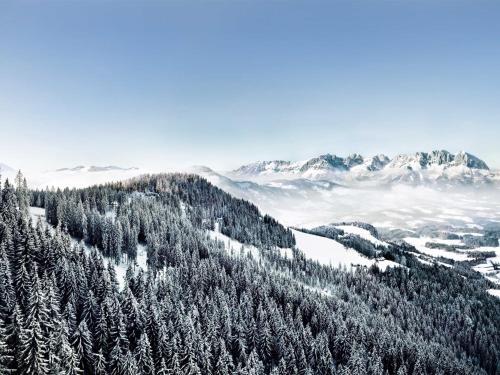 Berglehen 2