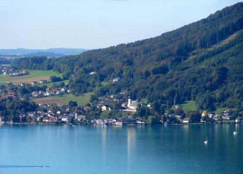 Bio-vollholzhaus Mit Badeplatz
