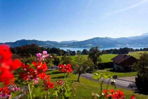 Hotel Haberl - Attersee