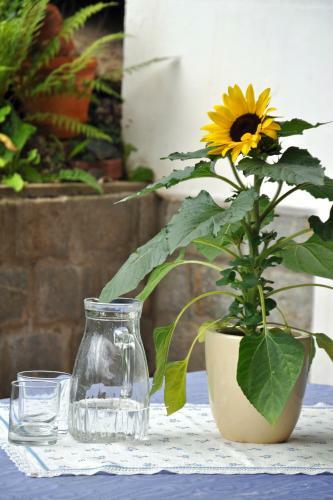 Apartamento Haus Heinke