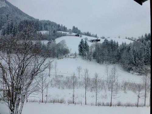 Brunn