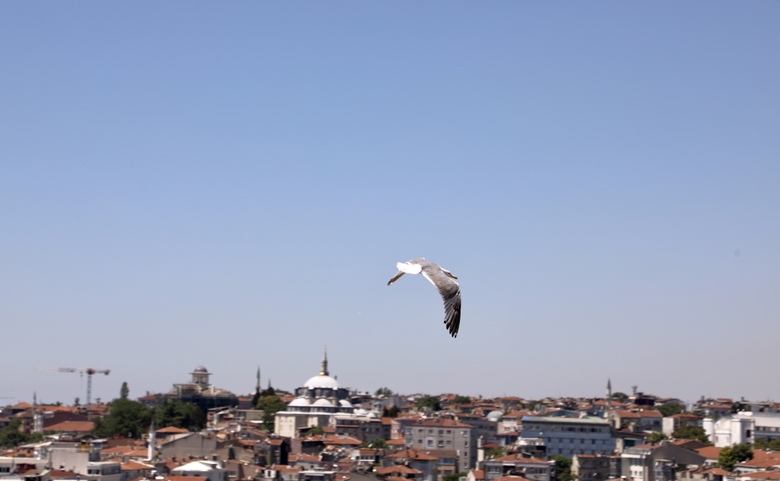 Istanbul Royal Hotel