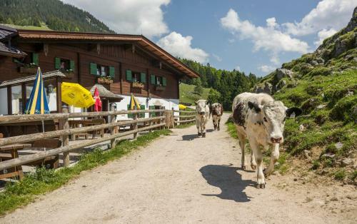 Posada Ritzau Alm