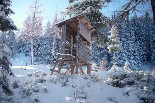 Apartamento Appartement Edelweiss