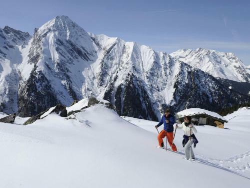 Apartamento Appartementhaus Austria 4