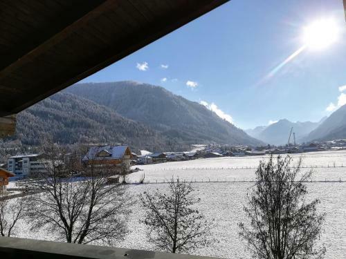 Apartamento Flachau Appartement