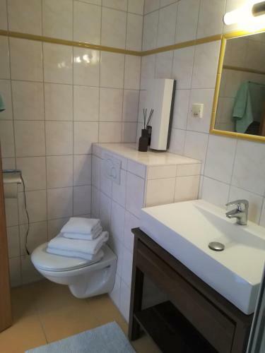 Apartamento Flachau Appartement