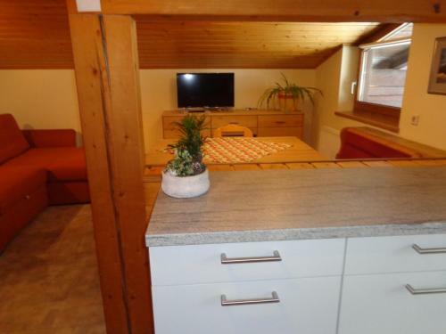 Apartamento Haus Ottilie