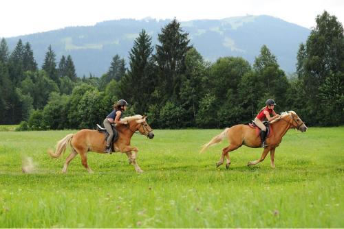 Apartments In Flachau/salzburger Land 375