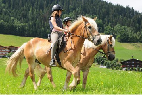 Apartments In Flachau/salzburger Land 375