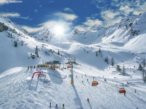 Naturpark Chalet Schladming-dachstein