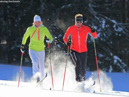 Naturpark Chalet Schladming-dachstein