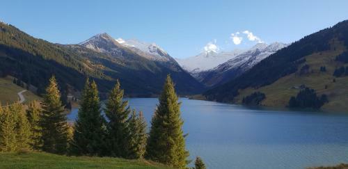 Alpenrose Hotel-garni
