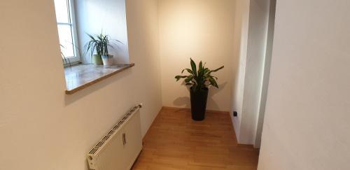 Amazing Apartment 2
