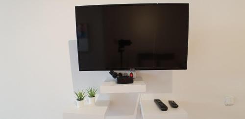 Amazing Apartment 5