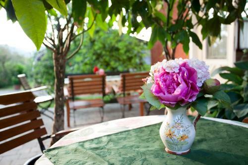 Apartments Im Garten - Haus Anna