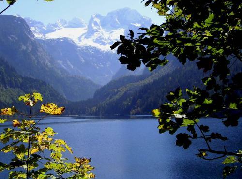 Cooee Alpin Hotel Dachstein