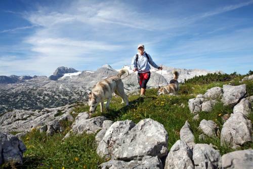 Cooee Alpin Hotel Dachstein