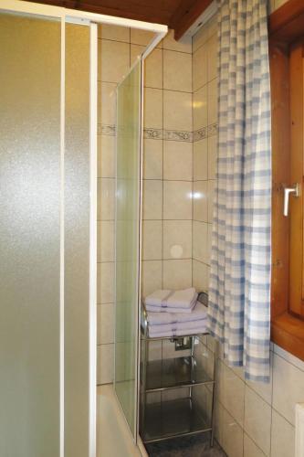 Apartment Bauernhof Hallmoos (war105)