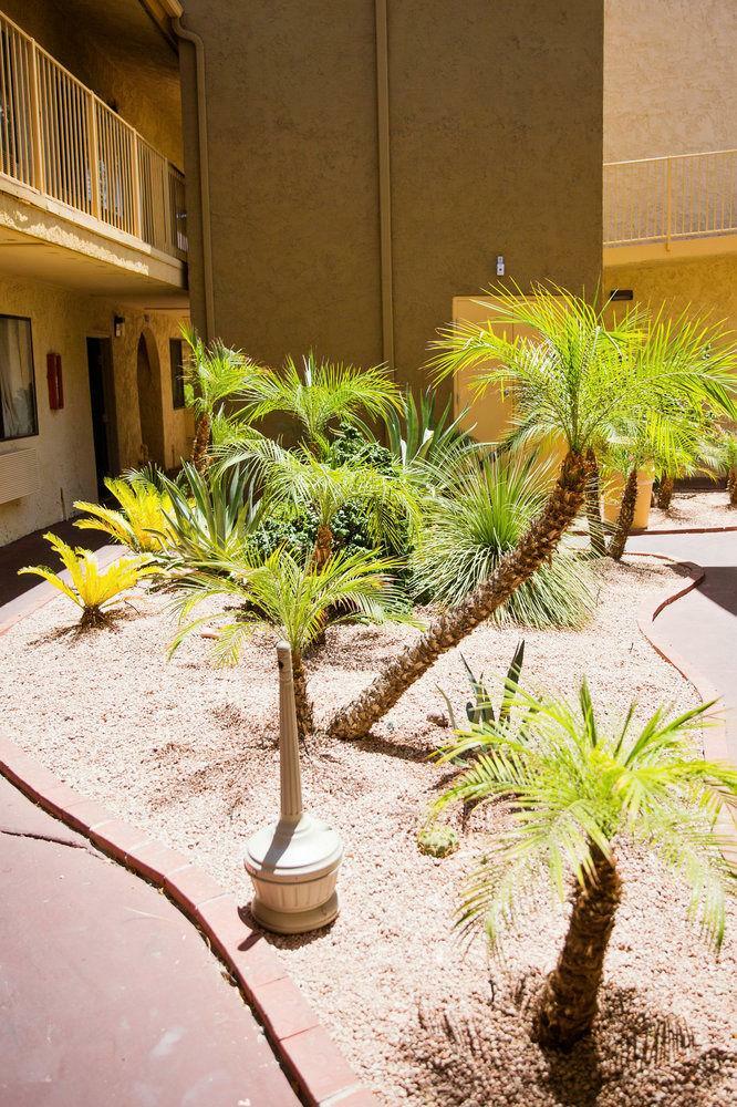 Hotel La Quinta Inn Phoenix - Arcadia