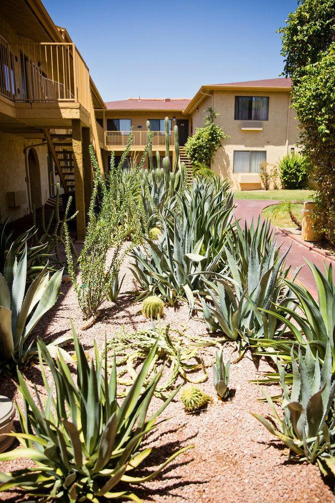 Hotel La Quinta Inn Phoenix - Arcadia