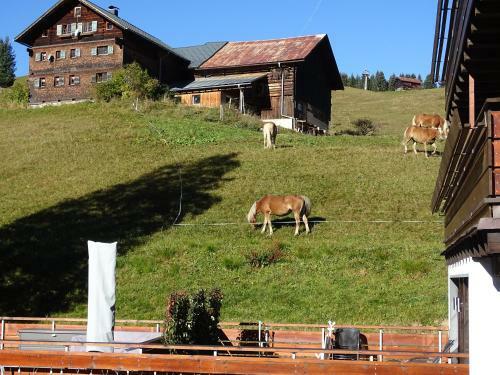 Apartamento Der Berghof