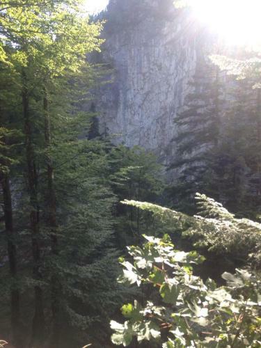 Hostal Landgasthof Hirschen