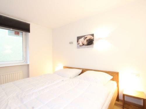 Apartamento Gorilla