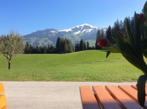 Apartamento Ferienhof Formegg Nebengeb�ude