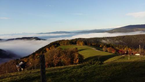 Hostal Forellenwirt Bacher