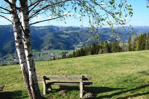 Posada Gasthof Ochnerbauer
