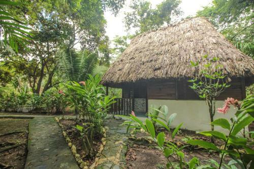 Hotel Cohune Palms River Cabanas