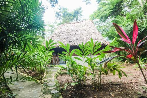 Hotel Cohune Palms River Cabanas