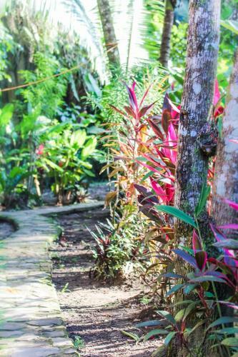 Hotel Cohune Palms River Cabanas
