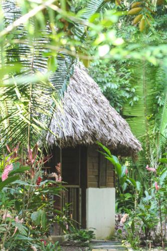 Hotel Cohune Palms River Cabanas