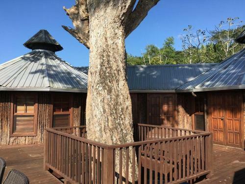 Villa The Treehouse Cayo