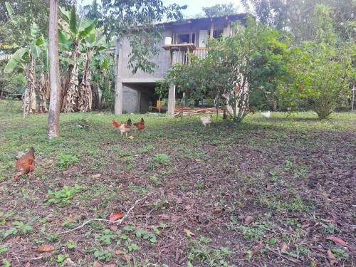 Agroturismo Xultun Farm
