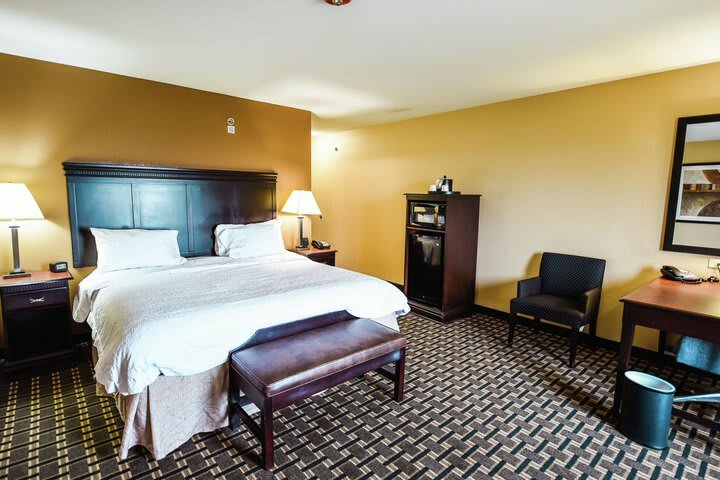 Hotel Hampton Inn Suites Pine Bluff