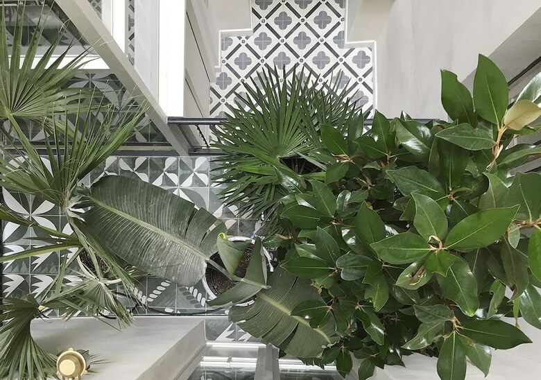 Apartamento Casa Timoteo