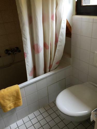 Hostal G�stehaus An Der Rheinbr�cke