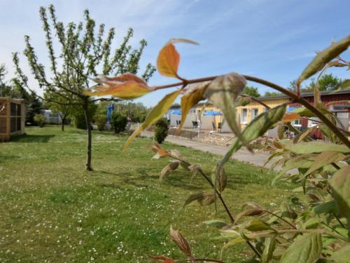 Welcoming Apartment In Wiek With Garden