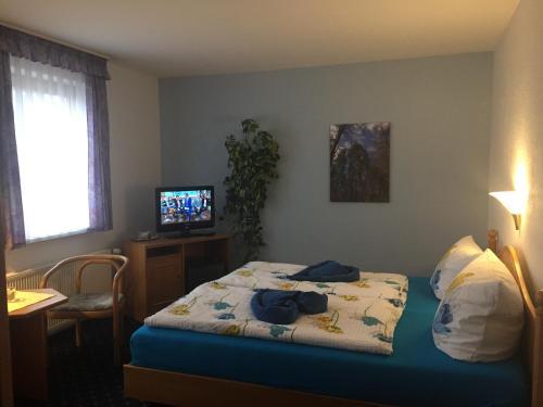Hostal Pension Richter