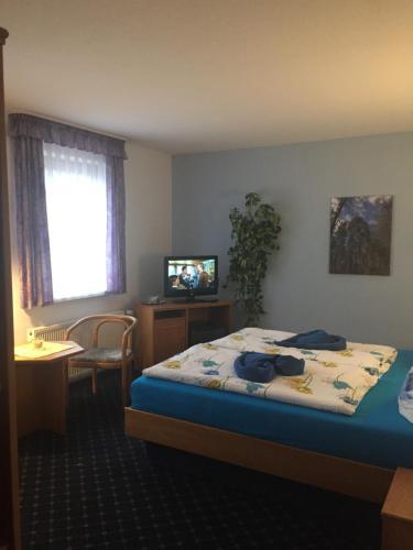 Hostal Pension Richter