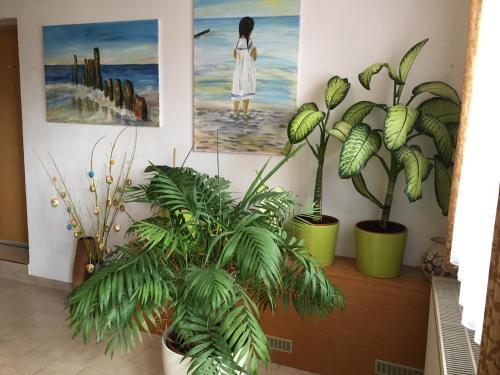 Hostal Pension Richter